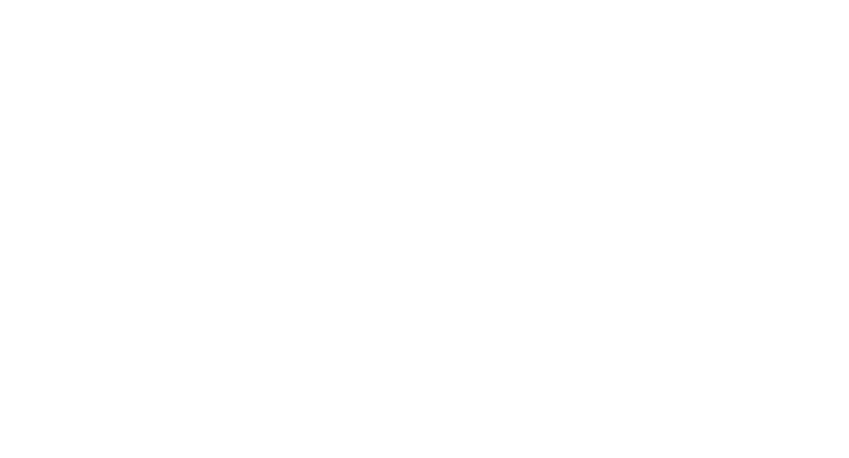 BZVS-FIT@72x